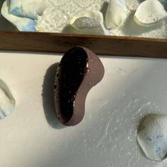 The Comma — photo 9