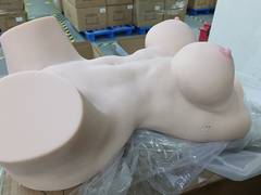 Kyoko Powered — Powered Form — photo 18