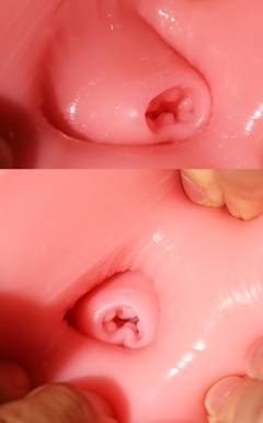 Siyao — Sculpted Hip Form — photo 10