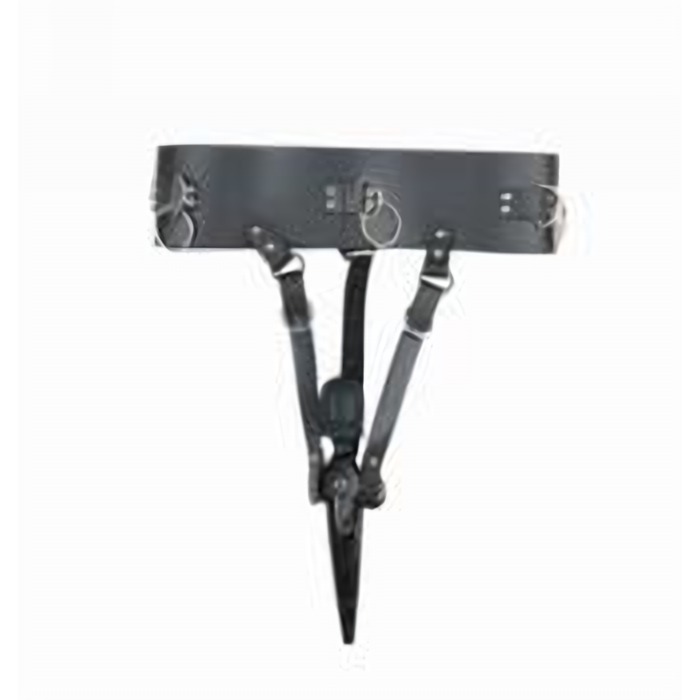 Harness